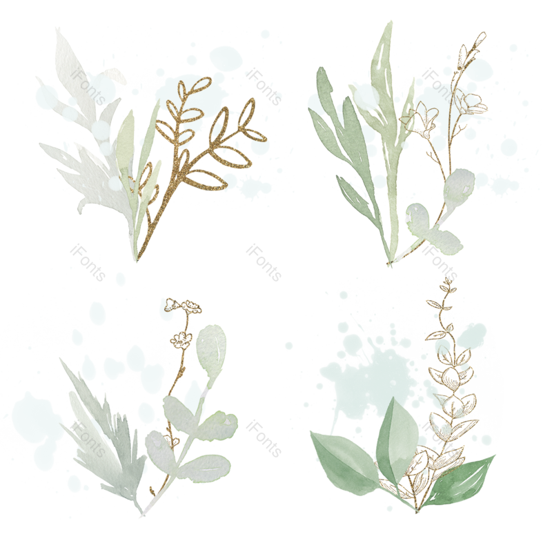 叶子图片,装饰元素,插画PNG,树叶免抠素材